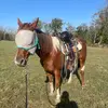 Elizabeth - @elizabeth..run..yeager - TikTok