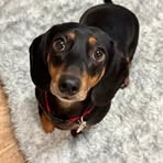 Beth Yeomans - Facebook
