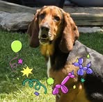 Beth Yoakum - Facebook