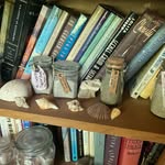 Beth Youngblood - @free_spirit_books - Instagram