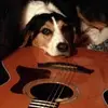 bethyoungblood2 - @bethyoungblood2 - TikTok