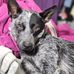 Beth Yount - Facebook