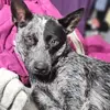 Beth Yount - @beth.yount - TikTok