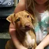 bethannie.zak - @bethannie.zak88 - TikTok