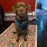 Beth Zigmont - @bzigmont - Instagram