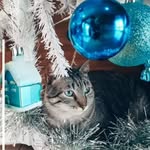 Beth Klippel Zimmermann - @beth_klippel - Instagram