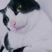 Beth Klippel Zimmermann - Facebook