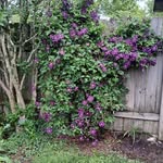 Beth Lynne - @zink.beth - Instagram