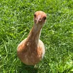 Beth Zink - @kniz431 - Instagram