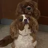 Elizabeth Zukowski - @elizabethzukowski - TikTok