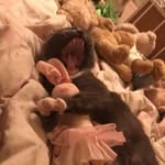 Missy - @bethanarnold2018 - Instagram