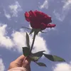 BethanyBishop - @bethanybishopqafmsnwj - TikTok