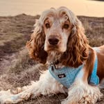 Bethan Freeman - @b20thn - Instagram