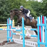 🐴Bethan🐴 - @bethanhillll.sj - Instagram