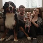 Bethan Hodges - @bethan.c.hodges - Instagram
