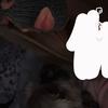 Beth🤍 - @bethanxmarshall - TikTok