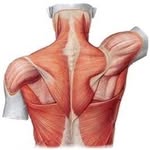 Bethan Robinson - @beths_sports_massages - Instagram