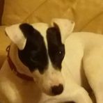 Bethan Thompson - Facebook