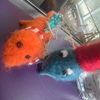 Bethaniewalsh - @b.walsh_ - TikTok