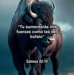 Bethania Perez - Facebook