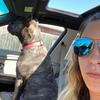 Bethanie - @hera_da_cane_corso - TikTok
