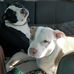 Bethanie Smith - Facebook