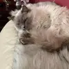 Bethany Armstrong - @bethanyarmstrong4 - TikTok