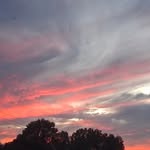 Bethany Arnold - @paper_wings__ - Instagram