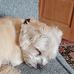 Bethany Bevan - Facebook