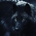 Bethany Bevan - @wolf_ghost96 - Instagram