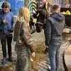 bethany.bevan - @x.bethany.b - TikTok