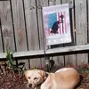 Beth Bohn - @beth.bohn4 - TikTok