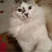 Bethany Bohn - Facebook