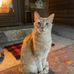 Beth Bolduc - Facebook