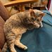 Beth Bollinger - Facebook