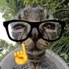 BETHANY🦖 - @bethanybond.123456 - TikTok
