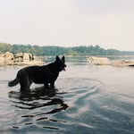Bethany Boniface - @bethbonifacephotography - Instagram