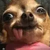 bethyboo - @bethanybooth20 - TikTok