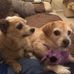 Beth Bouchard - Facebook