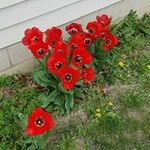 Bethany Brewster Stout - @brewsterstout - Instagram