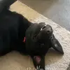 Bethany Brown - @bethany.brown8 - TikTok