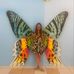 Bethany Brunner - Facebook