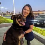 Bethany’s Bunch of Wagging Dogs Rescue - @bethanys_bunch - Instagram