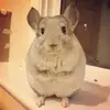Bethany Burroughs877 - @beth.b1002 - TikTok
