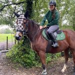 Bethany Burton - @beth.xequine - Instagram