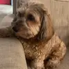 bethanyburton - @bethanyburton04 - TikTok