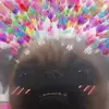 Bethany Buxton - @bethanybuxton - TikTok