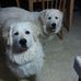Beth Calloway - Facebook
