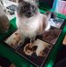 Bethany Cameron - Facebook