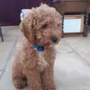 Bethany Casey - @beth.c1472 - TikTok
